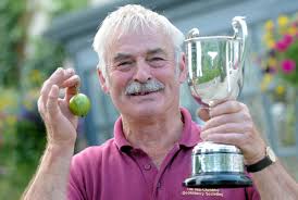 Gooseberry growers reap fruits of hard labour