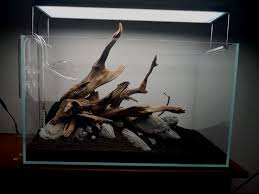 Sell Driftwood That Has Been Properly Cleaned Cured And Decontaminated To Aquarium Supply Companies These Companies Will Resell The Driftwood To Their Own Cli Fish Tank Plants Aquarium Driftwood Fresh Water