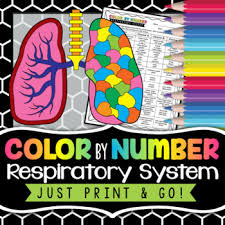Click the respiratory system coloring pages to view printable version or color it online (compatible with ipad and android tablets). Respiratory System Coloring Worksheets Teaching Resources Tpt