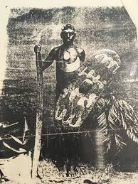 Photo Supplied By Kutchaartsdesign One Of The Kings Of The Barron River North Queensland Australian Aboriginal History Aboriginal History Aboriginal Art