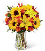 Check spelling or type a new query. Flowers To Miami Valley Hospital Dayton Ohio Oh Same Day Delivery By A Local Florist In Dayton
