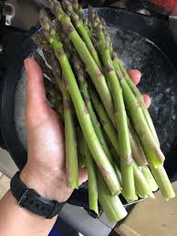 Image result for Asparagus schroederi