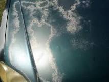 Image result for will goof off take off paint