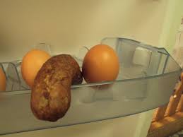 Znalezione obrazy dla zapytania kutas.jpg