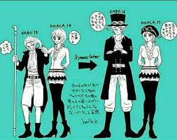 one piece おしゃれまとめの人気アイデア pinterest chibi mugiwara サボル コアラ ワンピース マンガ