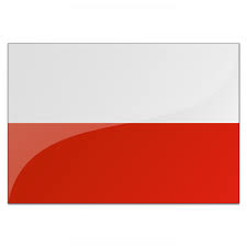 Icons for slides & docs+2.5 million of free customizable icons for your slides, docs and sheets. Iconexperience V Collection Flag Poland Icon