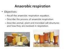 Https Slideplayer Com Slide 10578589 Anaerobic Respiration Cellular Respiration Biology Electron Transport Chain