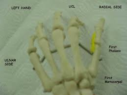 Image result for Hand Exam
