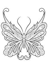 Pin On Animals Adult Colouring Zentangles