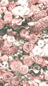 Wallpaper hd wallpaper space wallpaper desktop wallpaper find your perfect hd & 4k wallpaper from our hand crafted collection. Iphone Wallpaper 4k Nature Flowers Pink 4kiphone Wallpapers Naturephotograph Tashan O Flower Background Iphone Flower Phone Wallpaper Floral Wallpaper