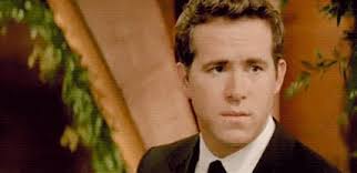 @single_cat_mom's video Tweet