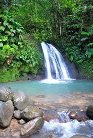 Guest Blog A Student Year Abroad Experience In Guadeloupe Guest Blogging Guadeloupe Waterfall