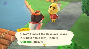 Biskit Animal Crossing New Horizons Acnh Animalcrossingnewhorizons Acnhbenjamin In 2020 Animal Crossing Fleas Fictional Characters