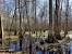 Cypremort Point State Park