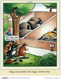 Image result for funny far side cartoons