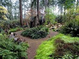 Danger Garden The Stumpery At The Rhododendron Species Foundation Botanical Garden In Federal Way Washington Rhododendron Botanical Gardens Unique Plants