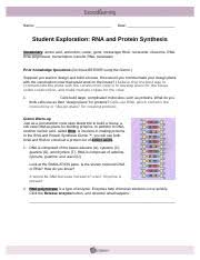 Vocabulary transcription translation translocation chromosomal mutation dna → rna → protein. Rnaproteinsynthesisse 1 Docx Name Date Student Exploration Rna And Protein Synthesis Vocabulary Amino Acid Anticodon Codon Gene Messenger Rna Course Hero