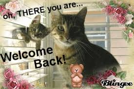 images?q=tbn:ANd9GcQE29ofzXxzUyEsqi4gTU3