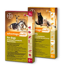 Advantage Multi For Dogs Cats Bayer Dvm