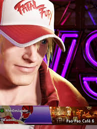 Terry Combo Fatal Furry