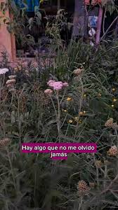 La Moray Armonizarte