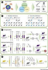 The pest analysis is a useful tool for understanding market growth or decline, and as such the position, potential and direction for a business. Crispr Based Gene Drives For Pest Control Trends In Biotechnology