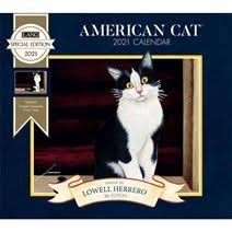 2021 Calendars Wall Desk Planners Shop Calendars Calendars Com Calendars Com In 2020 Wall Calendar Cat Wall Embossed Paper