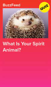 What Is Your Spirit Animal Spirit Animal Quiz Animal Quiz Spirit Animal Funny