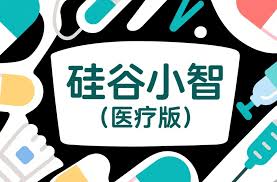 硅谷小智（医疗版）VIP课程百度网盘打包下载- 咸鱼资源