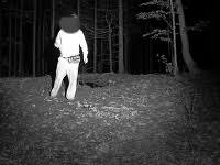 In a society grappling with its communist past and european present, both the cultural elite and disenfranchised young men see forces of darkness descending over europe. Hororove Chvile Na Videu Zmateny Slovak Sa Ocitol Sam V Lese Po Okoli Sa Potulovali Medvede Topky Sk