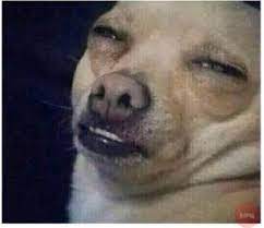 Dog Face Create Meme Meme Arsenal Com