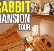 Luxury Rabbit Hutch TOUR! Two Ears Up!