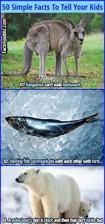 50 Simple Yet Mind Blowing Facts To Tell Your Kids Fact Republic Animal Facts For Kids Mind Blowing Facts Fun Facts About Animals