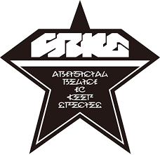 As the official instructions for the theme explain (see: Arks Phantasy Star Wiki Fandom