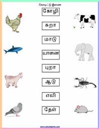 Drag and drop interactive activity for grade 1. Tamil Worksheets And Online Exercises