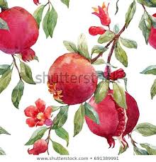 Planted two weeks back and there has excellent packing. Watercolor Pattern Of Pomegranate Tree Branches With Fruits Of Pomegranate Flowers And Leaves Pomegranate Art Tree Watercolor Painting Watercolor Fruit