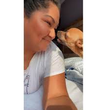 Chi owners get it. IYKYK.🤣🤣🤣🐕❤️