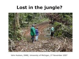 Get your kindle here, or download a free kindle reading app. Ppt Lost In The Jungle Powerpoint Presentation Free Download Id 5789571