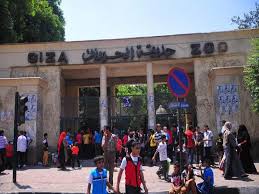بـ الطلب ويوم الثلاثاء فقط تفاصيل رفع سعر تذكرة حديقة الح مصراوى