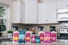 Aunt fannie's product line includes an array of household cleaners and soaps, but the. Aunt Fannie S Adds Five New Pest Control Products To Healthy Housekeeping Lineup