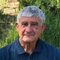 Frank Palacio Sr. Obituary