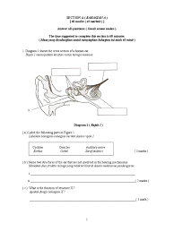 Pelbagai teka silang kata pendidikan islam tingkatan 1 via menulismenconteng.my. Soalan Peperiksaan Akhir Tahun Sains Tingkatan 4 Kertas 1 Viral Blog U