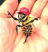 🐝💫🇺🇸👑, The Bees Were "Told" Today, And It Wasn’t Just a Photo Op., During King Charles III’s White House visit, President Trump walked the royal couple straight to the newly expanded beehives on the ...