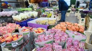 We did not find results for: Brexit Makes It More Expensive To Say It With Flowers Itv News