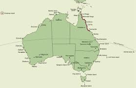 Image result for Corymborkis corymbis