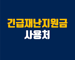 매장에 따라 현재 정보와 다를 수 있으니, 매장에서 사용 가능 여부를 확인하기 바랍니다. ê¸´ê¸‰ìž¬ë‚œì§€ì›ê¸ˆ ì‚¬ìš©ì²˜ì™€ ì‚¬ìš©ë°©ë²•