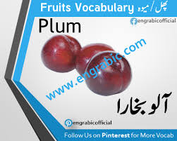Fruit Names List Fruits Name List Fruit Fruit List