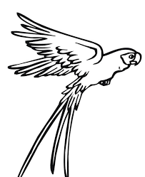 Simple Flying Bird Drawing For Kids Flying Parrot Drawing Clipart Panda Free Clipart Images Parrot Drawing Animal Coloring Pages Bird Coloring Pages