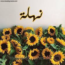 See if your friends have read any of نهلة كرم's books. Ù†Ù‡Ù„Ø© ÙƒØªØ§Ø¨Ø© Ø¹Ù„Ù‰ Ø§Ù„ÙˆØ±Ø¯ Ø¨Ø±Ù†Ø§Ù…Ø¬ Ø§Ù„ÙƒØªØ§Ø¨Ø© Ø¹Ø§Ù„ØµÙˆØ±