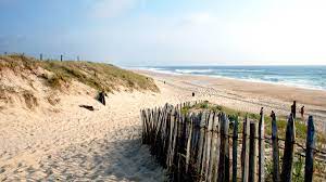 Les landes, le département xl ! Climate Landes Temperature Best Time To Visit Weather